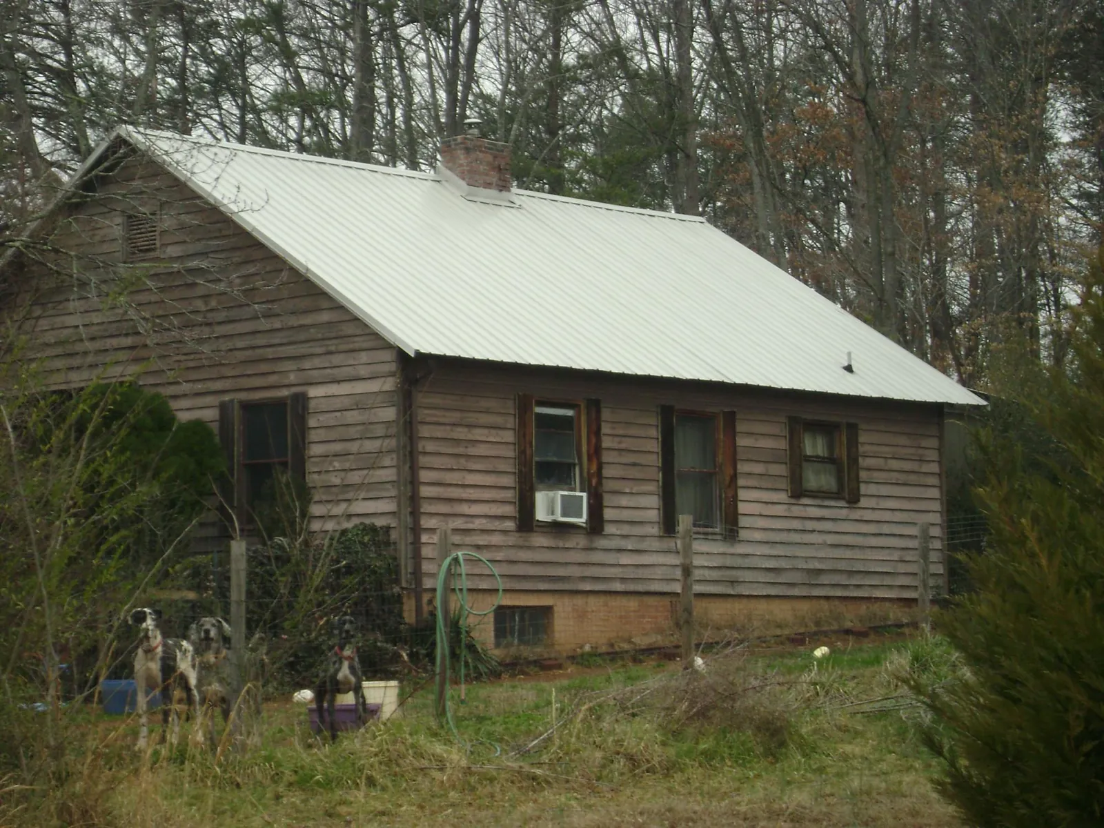 White metal roof on an old wood sided farmhouse, from a Asphalt Shingle Roof Repair job in Magazine